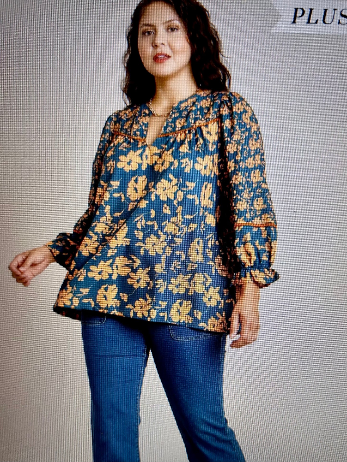 Umgee Top (plus size)