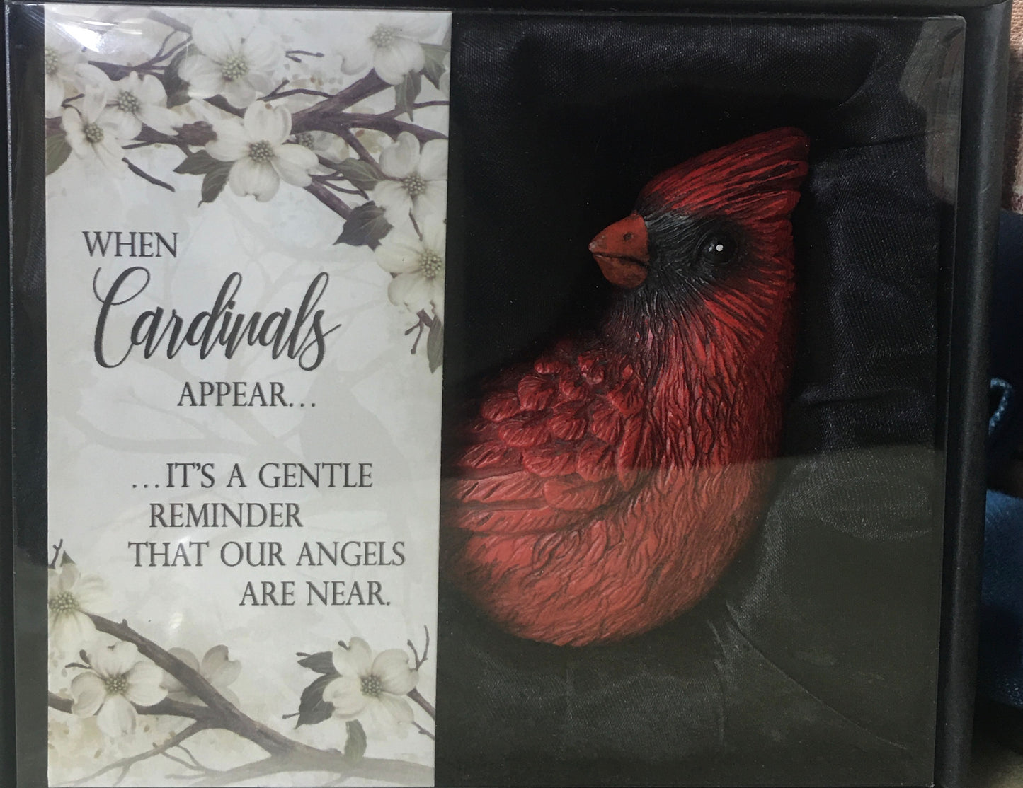 When Cardinals Appear…