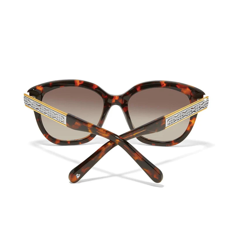 Brighton - Intrigue Amber Tortoise Sunglasses
